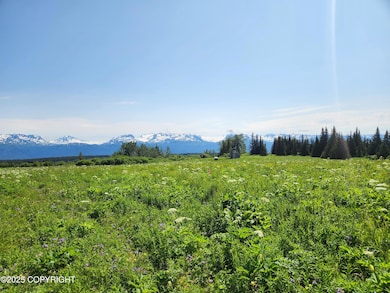 44931 Fox View Dr, Homer, AK 99603 - photo 7