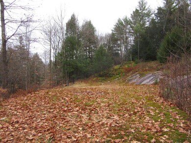 805 Wellington Hill Rd E, Putney, VT 05346 - photo 3