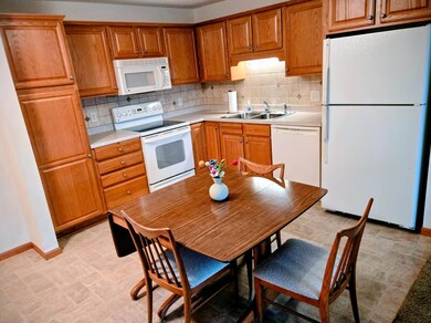 Bards Crossing unit 304, Rosemount, MN 55068 - photo 3