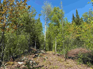 Unit 1 Fernberg Rd, Fall Lake Township, MN 55731 - photo 4