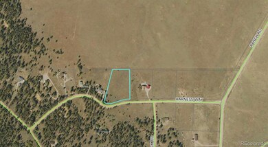 311 Harness Way, Hartsel, CO 80449 - photo 4