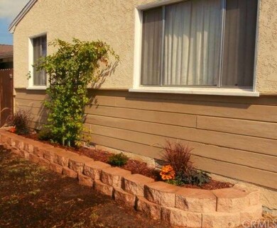 New Planter and Plants