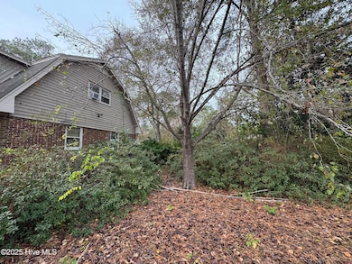 800 Little John Ave, Jacksonville, NC 28546 - photo 4