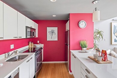 Sierra & Tango Condominiums unit 316, Cambridge, MA 02141 - photo 6