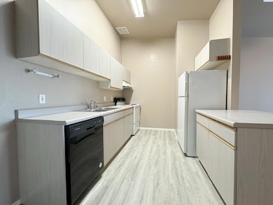 1645 NE Merman Dr unit D304, Pullman, WA 99163 - photo 5