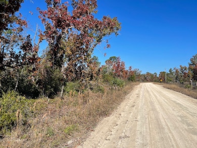 TBD Lot #18 Sea Oaks Dr, Perry, FL 32348 - photo 2