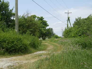 Alley to Bertrand St.