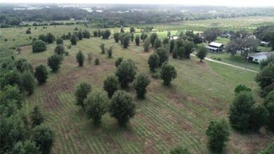 0 Fairview Heights Rd unit MFRT3477245, Zephyrhills, FL 33541 - photo 3