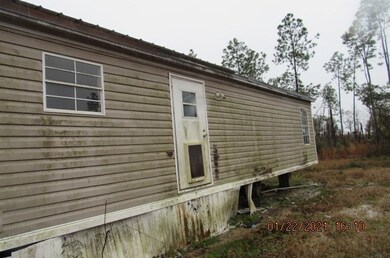 2782 Burke Rd, Donalsonville, GA 39845 - photo 5