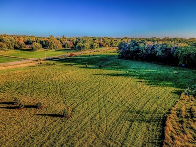 301X Nelson Rd, Delano, MN 55328 - photo 4