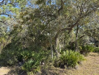 9180 Nightingale, Weeki Wachee, FL 34613 - photo 5