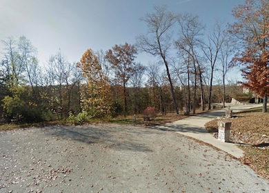 200 Hickory Ridge Ct, Branson Township, MO 65616 - photo 2