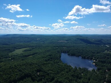 Map 09 Lot 19 Rd, Hillsborough, NH 03244 - photo 4