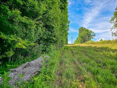 0 Double Branch Rd unit RTC3050045, Columbia, TN 38401 - photo 7