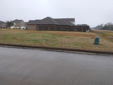 3219 Birkhill Ct, Bay City, TX 77414 - photo 2