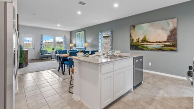 223 Lantana Trail, Boyd, TX 76023 - photo 6