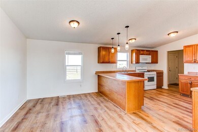 15130 Ewing Ct, Peyton, CO 80831 - photo 7