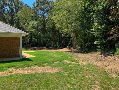 32 Gum Tree Dr, Oxford, MS 38655 - photo 6