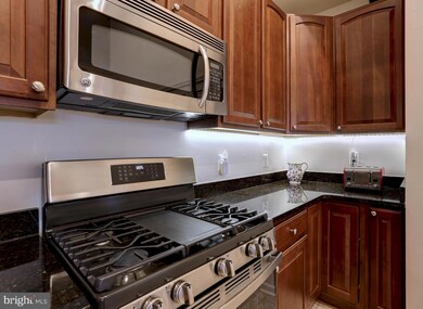 7270 Darby Downs unit P, Elkridge, MD 21075 - photo 6