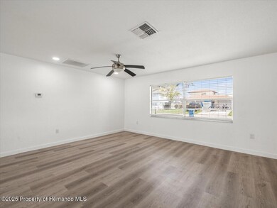 3366 Minnow Creek Dr, Hernando Beach, FL 34607 - photo 5