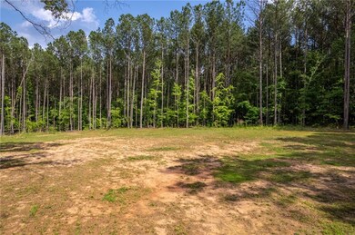 2535 Willow Ln, Social Circle, GA 30025 - photo 5