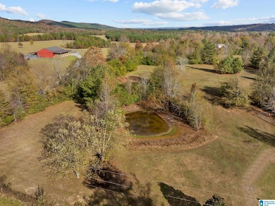 00 Armstrong Rd, Ashville, AL 35953 - photo 2