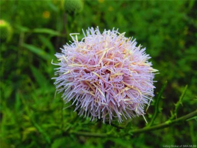 554 Old Corydon Ridge Rd, Georgetown Township, IN 47150 - photo 7