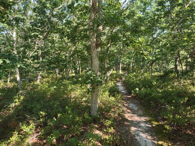 39 Meshaket Way, Oak Bluffs, MA 02557 - photo 3