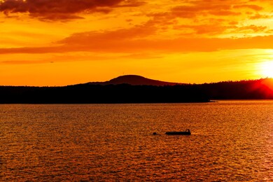 1513 Newbury Neck Rd, Surry, ME 04684 - photo 2