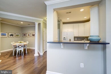 1321 N Adams Ct unit 301, Arlington, VA 22201 - photo 6