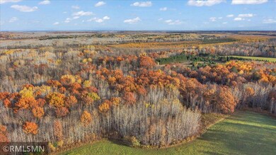 29224 Hawks Nest Ln, Hinckley, MN 55037 - photo 4