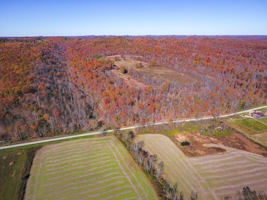 TBD Kentucky 377, Trinity, KY 41179 - photo 3