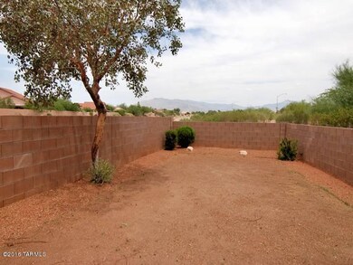 Back Yard-9