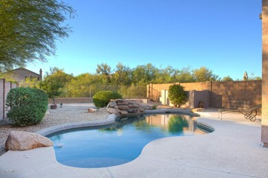 _backyard_2
