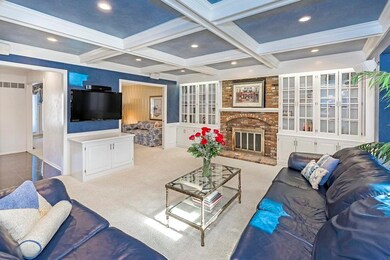 Wood burning fireplace with state of the art sound