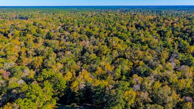 TBD Rolling Ridge Rd, Goodrich, TX 77335 - photo 3