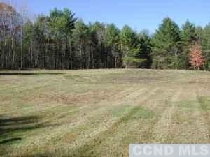 3427 County Route 9, East Chatham, NY 12060 - photo 4