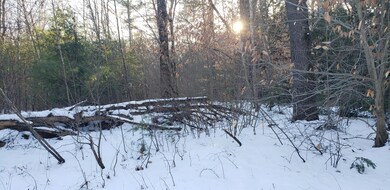 Lot 7 Mountain Rd, South Berwick, ME 03908 - photo 2