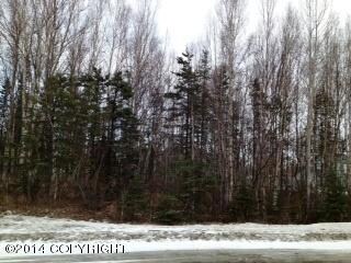 Fernwood 2