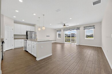 11937 Bahia Valley Dr, Riverview, FL 33579 - photo 6