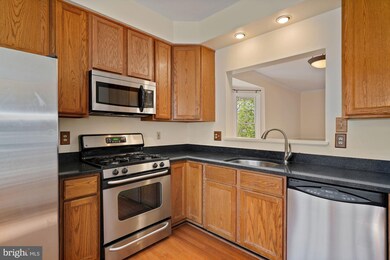 3652 Ransom Place, Alexandria, VA 22306 - photo 6