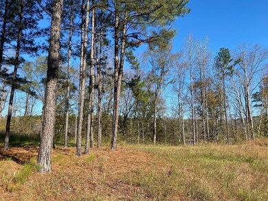 Lot 3 View 2