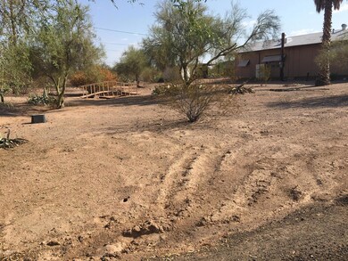 Front yard