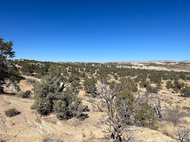 0 New Mexico 574, Aztec, NM 87410 - photo 7