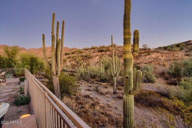 Desert Views