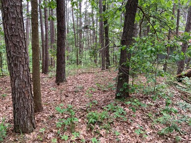Tract 3, beautiful setting!