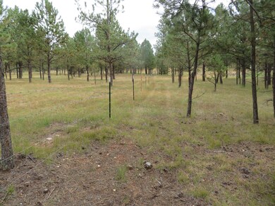 TBD Lot 34B Hombre Trail unit TBD Lot 34B, Crazy Horse, SD 57730 - photo 3