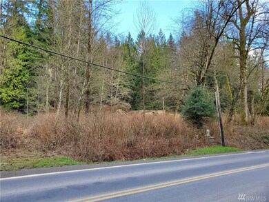 12409 Mountain Loop Hwy, Granite Falls, WA 98252 - photo 3