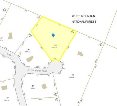 49 Otter Brook Rd, Woodstock, NH 03262 - photo 5