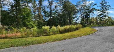 Lot 54 High River Landing, Ellijay, GA 30540 - photo 5
